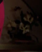 A small plant in Beverly Crusher's quarters (TNG: "The Naked Now")