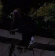 Rusty McClennon, Birthright Part I.jpg (8 KB) Stunt double for Michael Dorn TNG: "Birthright, Part I" (uncredited)