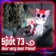 Spot 73 poster.jpg (904 KB) Spot 73