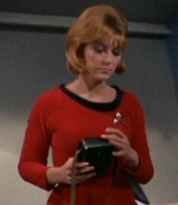 As the court reporter