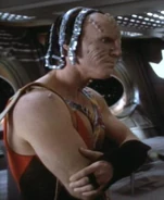 Trajok.jpg (19 KB) Trajok