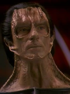 Dukat 2372.jpg (116 KB) 2372