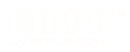 Nanoforce brand logo