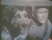 Joey Starrett and dog