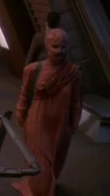 Promenade shopper (DS9: "Sons of Mogh") Played by Ivy Borg