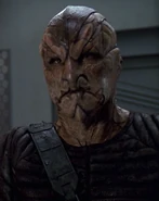 Hazari crewman.jpg (28 KB) Hazari crewman VOY: "Think Tank" (uncredited)