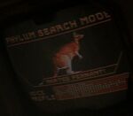 Phylum search mode - Martes pennanti (Kangaroo)