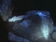 Corpses in the cave