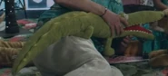 Alligator stuffed toy.jpg (28 KB) A stuffed alligator held by Adam Soong
