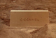 O'Connel