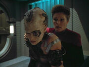 Seven of Nine broken