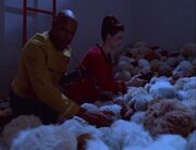 Tribble scan