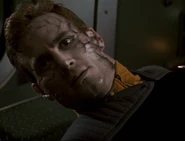 Assimilation Process Stage 2