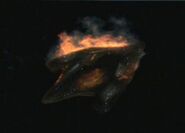 Stranded alien vessel (VOY: "The Void")