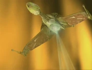 IKS Rotarran emitting an EM pulse.jpg (40 KB) Emitting an EM pulse