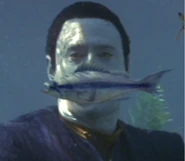 Baku fish.jpg (26 KB) Ba'ku fish