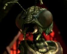 Xindi-Insektoide.jpg