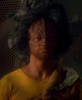 Haliz in 2371