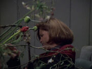 Janeway attacked by vines