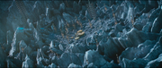 Krall's base