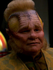 Neelix