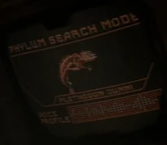 Phylum search mode - Plethodon dunni (Chameleon).jpg (13 KB) Chameleon Plethodon dunni