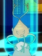 Glommer in menagerie.jpg (20 KB) Glommer