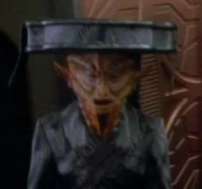 Hatted member of the species