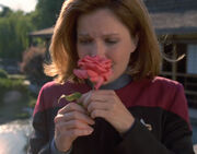 Janeway with a rose
