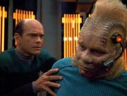 Neelix ist wieder lebendig