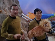 Kirk & Sulu