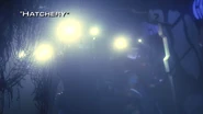 "Hatchery"
