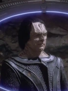 Gul Darheel.jpg (63 KB) …und als Gul Darhe'el.