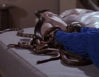 Halucynowane węże Komandora Riker w 2367