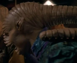 A member gambling in Quark's (DS9: "The Homecoming")