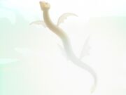 Sky snake