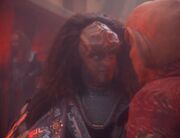 Gowron und Quark