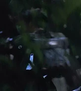 Vori commando 8.jpg (12 KB) Vori commando VOY: "Nemesis" (uncredited)