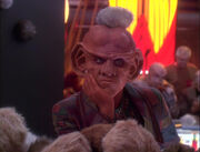 Quark's infested with tribbles