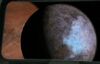 Allos' species moon