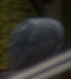 Played by an unknown actor ("A Simple Investigation")