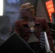 Quark is a daddy