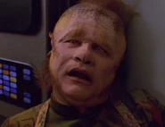 Neelix hologram, 2372.jpg (73 KB) Neelix (hologram) VOY: "Meld"