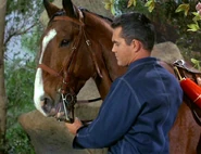 Tango.jpg (65 kio) Tango