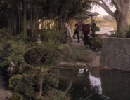 Part of the Japanese Garden in "The First Duty".