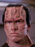 Telle.jpg (273 KB) …und als Glinn Telle.