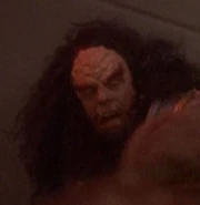 Tom Morga, Apocalypse Rising.jpg (11 KB) Stunt double for J.G. Hertzler DS9: "Apocalypse Rising" (uncredited)