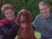 Janeway Hund