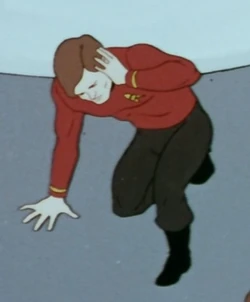 First engineer on the bridge