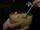 Pasta soup